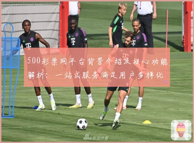500彩票网平台背景介绍及核心功能解析：一站式服务满足用户多样化需求